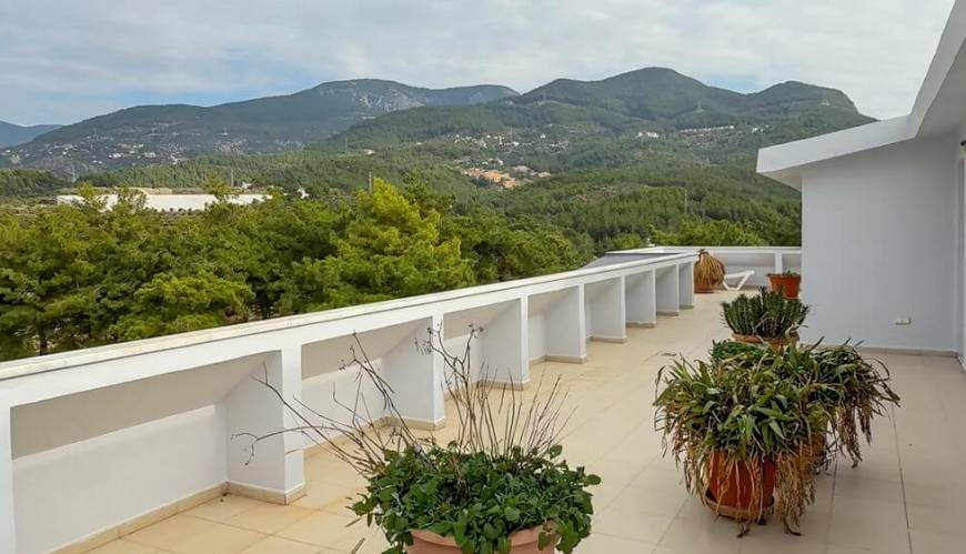 OBA PORTAKAL PENTHOUSE