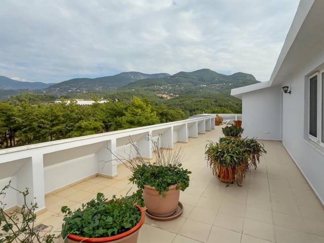 OBA PORTAKAL PENTHOUSE