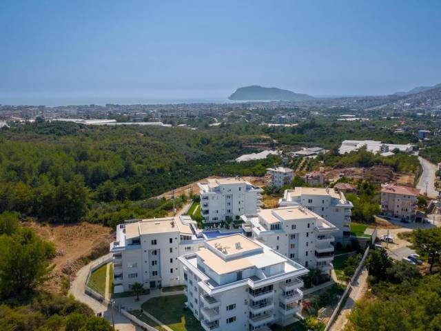 OBA COMPLEX