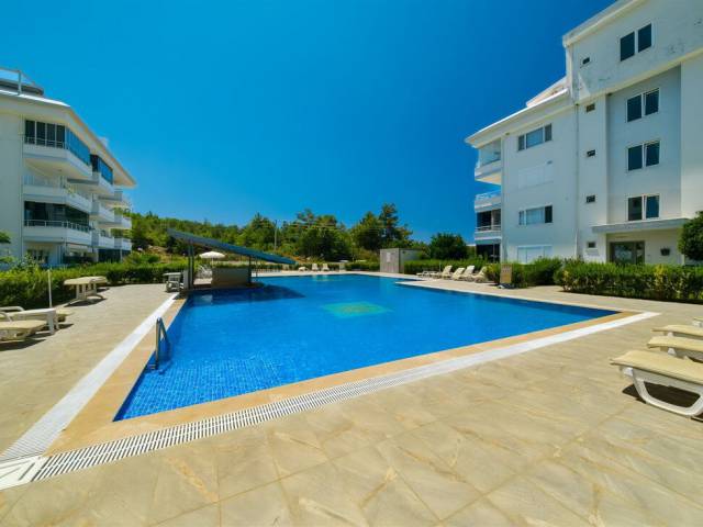 PORTAKAL APARTMENT