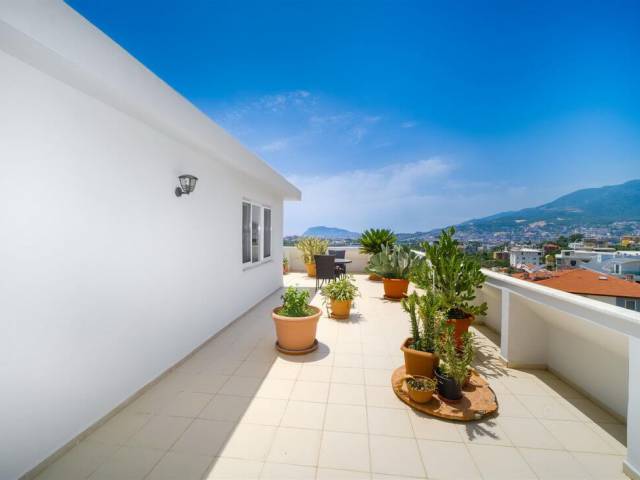 OBA COMPLEX PENTHOUSE