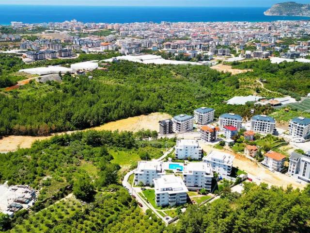 OBA PORTAKAL COMPLEX 3