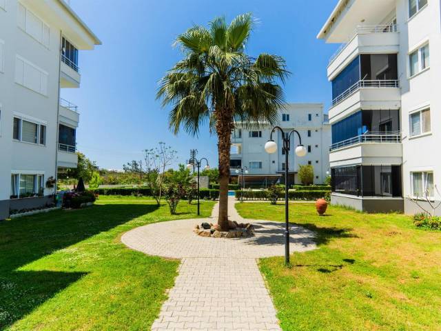 OBA PORTAKAL PENTHOUSE