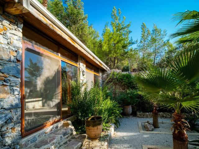 VILLA CARPE DIEM BEKTAS