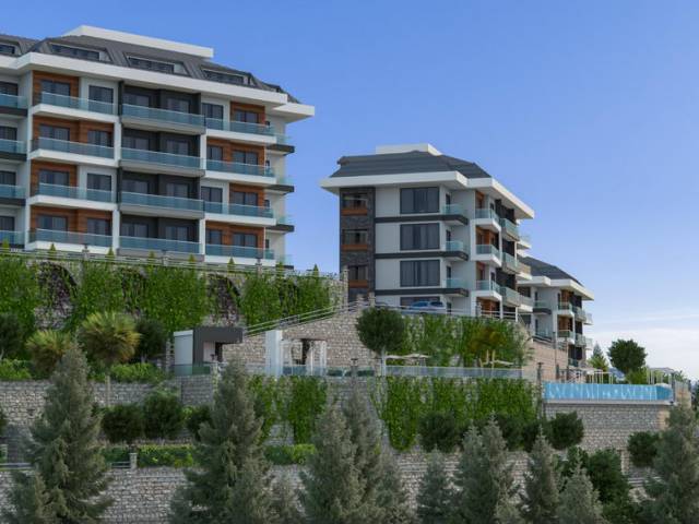 TRIO HILL