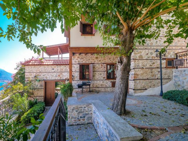 EXCLUSIVE CASTLE VILLA