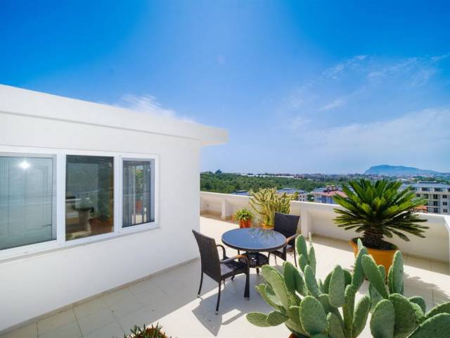 OBA COMPLEX PENTHOUSE
