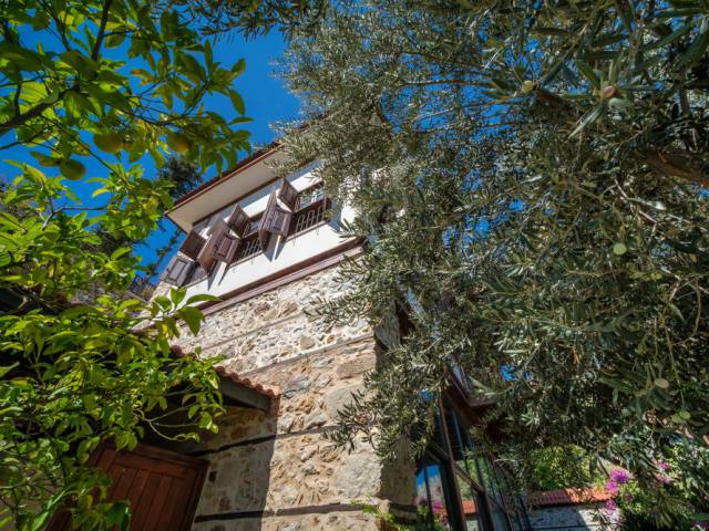 EXCLUSIVE CASTLE VILLA