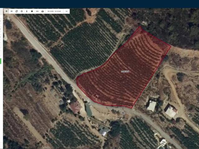 Land in Alanya Uğrak – Sea View, Investment Opportunity