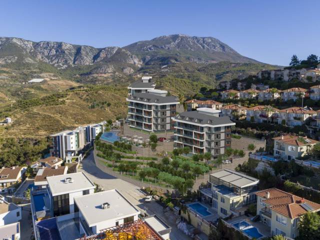 TRIO HILL
