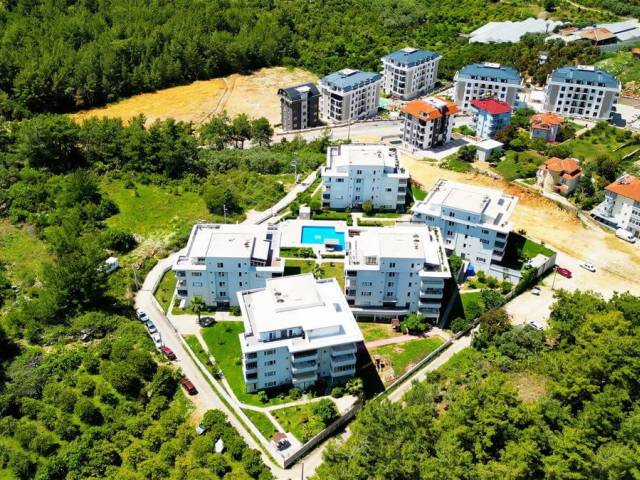 OBA PORTAKAL COMPLEX 3